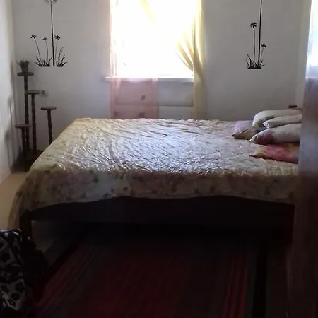 Guest house Domadruzy Odesa