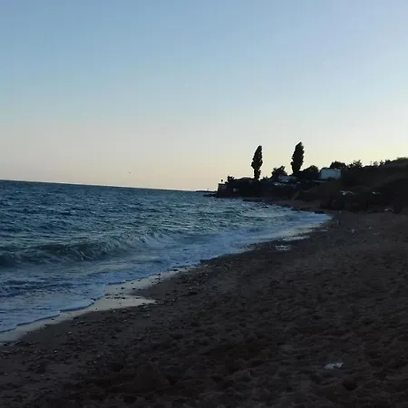 Domadruzy *