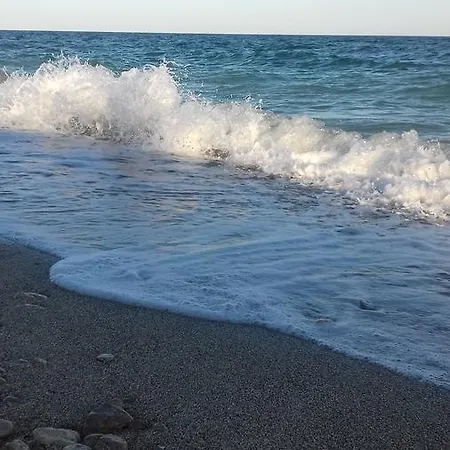 Domadruzy Odesa